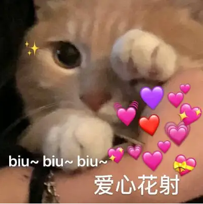 备孕有氧运动_运动备孕的好处_有氧运动对备孕的好处