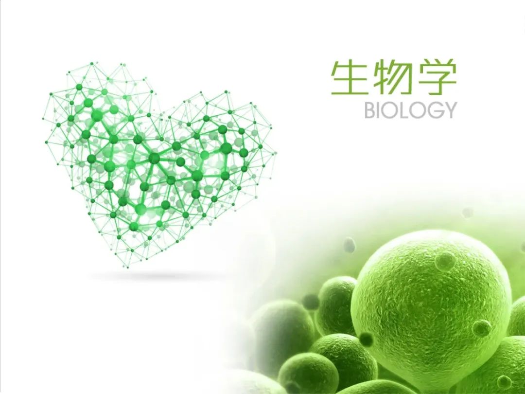 酵母菌怎么用_酵母菌在家生活方式_酵母菌做什么